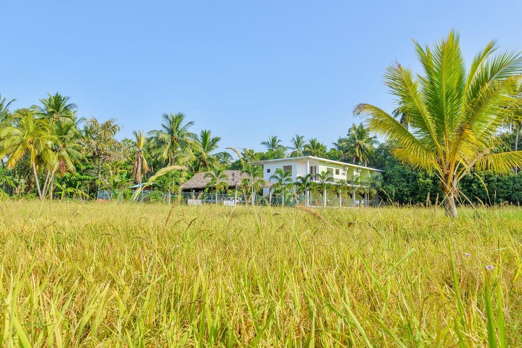 Hotel Ancient Village Polonnaruwa Dış mekan fotoğraf